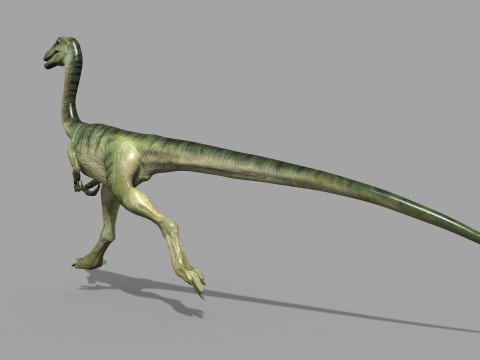 Real Animated Compsognathus - 8K Modelo 3D