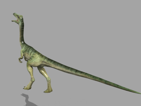 Real Animated Compsognathus - 8K Modelo 3D