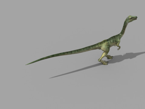 Real Animated Compsognathus - 8K Modelo 3D