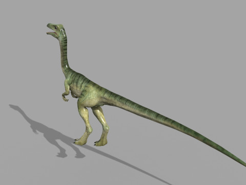 Real Animated Compsognathus - 8K Modelo 3D
