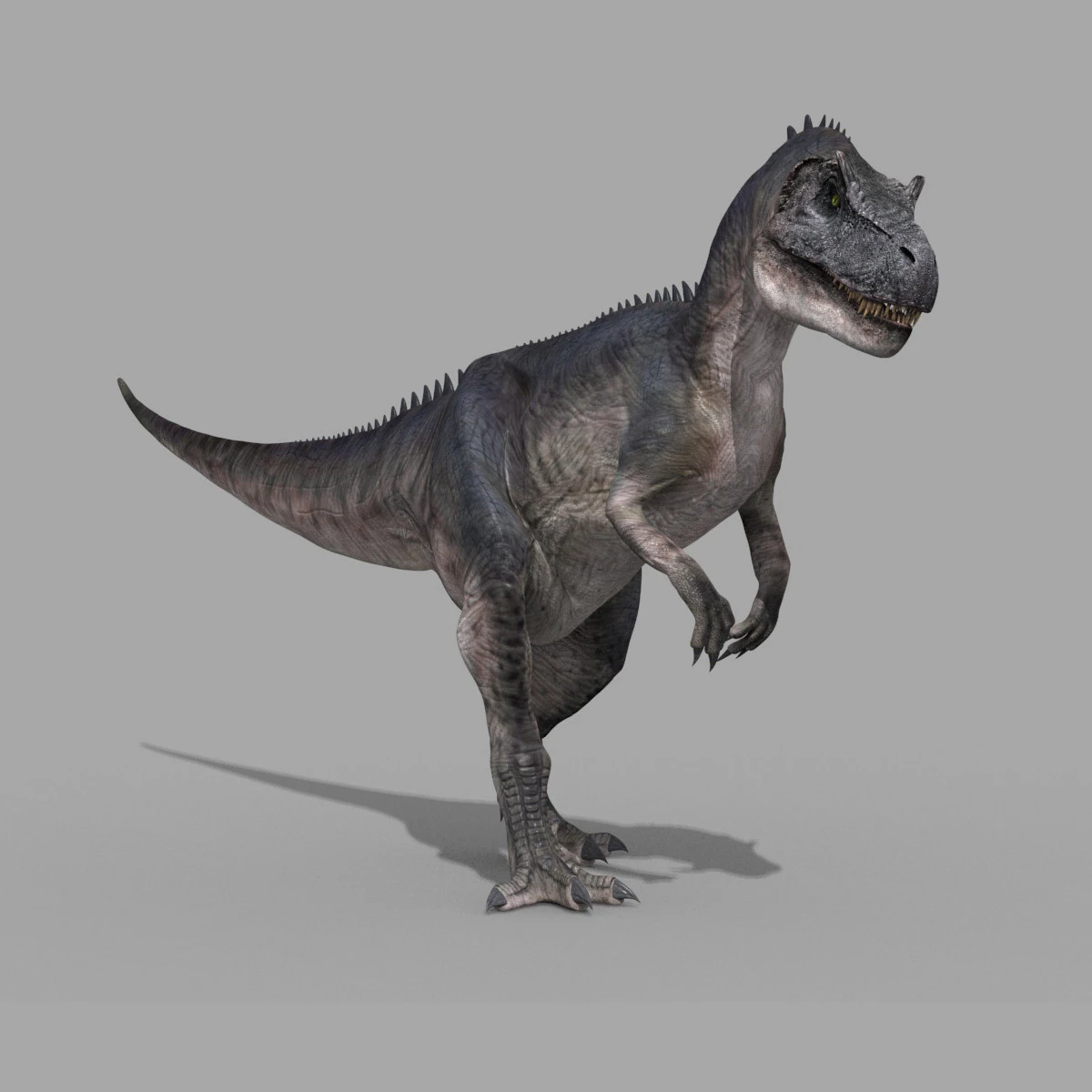 Real Animated Allosaurus - 8K 3D Model .c4d .max .obj .3ds .fbx .stl .blend 