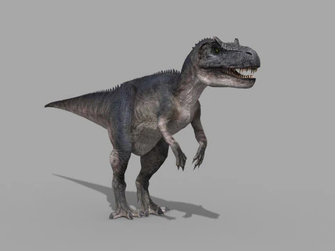 Real Animated Allosaurus - 8K 3D Model