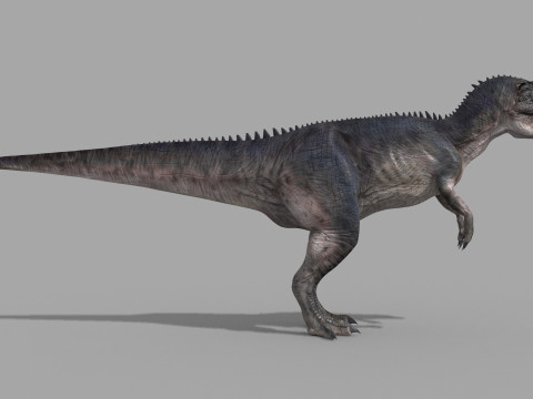 Real Animated Allosaurus - 8K 3D Модель