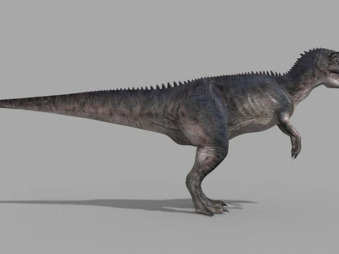 Real Animated Allosaurus - 8K 3D Model