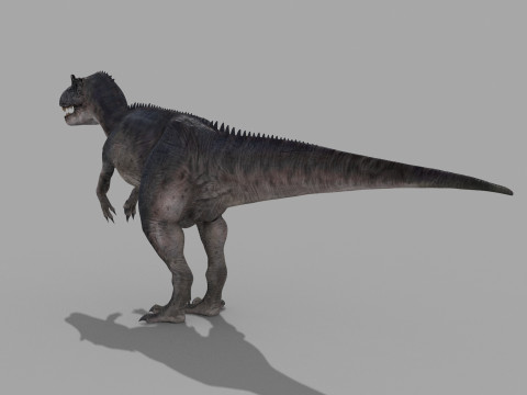 Real Animated Allosaurus - 8K 3D Модель