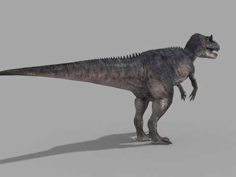 Real Animated Allosaurus - 8K 3D Модель