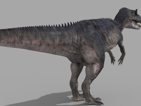 Real Animated Allosaurus - 8K 3D Модель