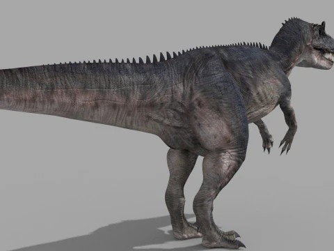 Real Animated Allosaurus - 8K 3D Model