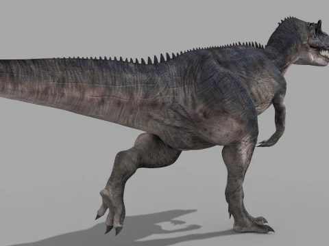 Real Animated Allosaurus - 8K 3D Model