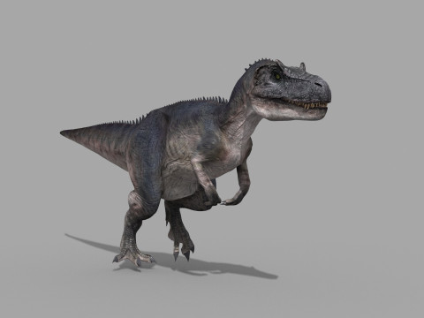 Real Animated Allosaurus - 8K 3D Модель