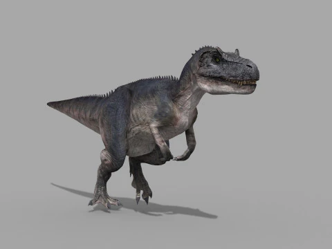 Real Animated Allosaurus - 8K 3D Model