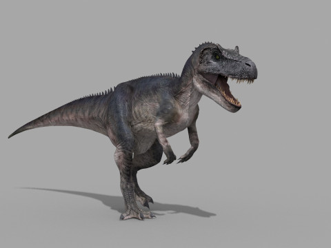 Real Animated Allosaurus - 8K 3D Модель