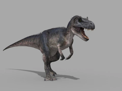 Real Animated Allosaurus - 8K 3D Model