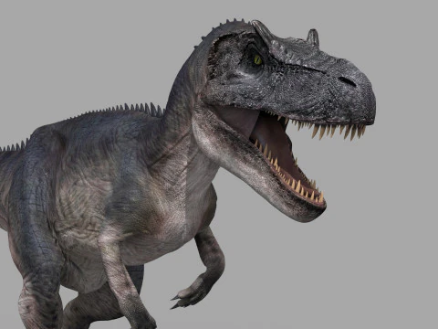 Real Animated Allosaurus - 8K 3D Model