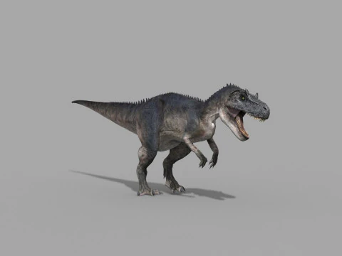 Real Animated Allosaurus - 8K 3D Model