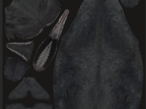 Photoreal Sperm Whale 8K - 3d animated 3Dモデル