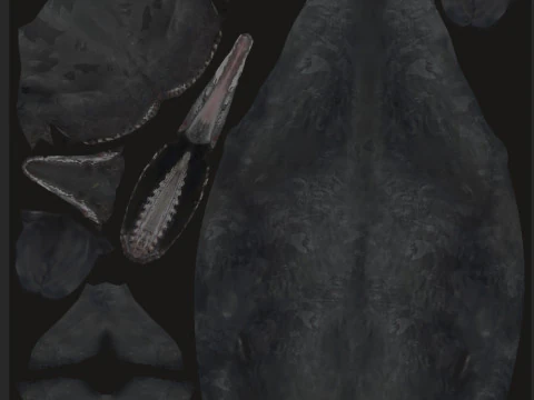 Photoreal Sperm Whale 8K - 3d animated 3D Model