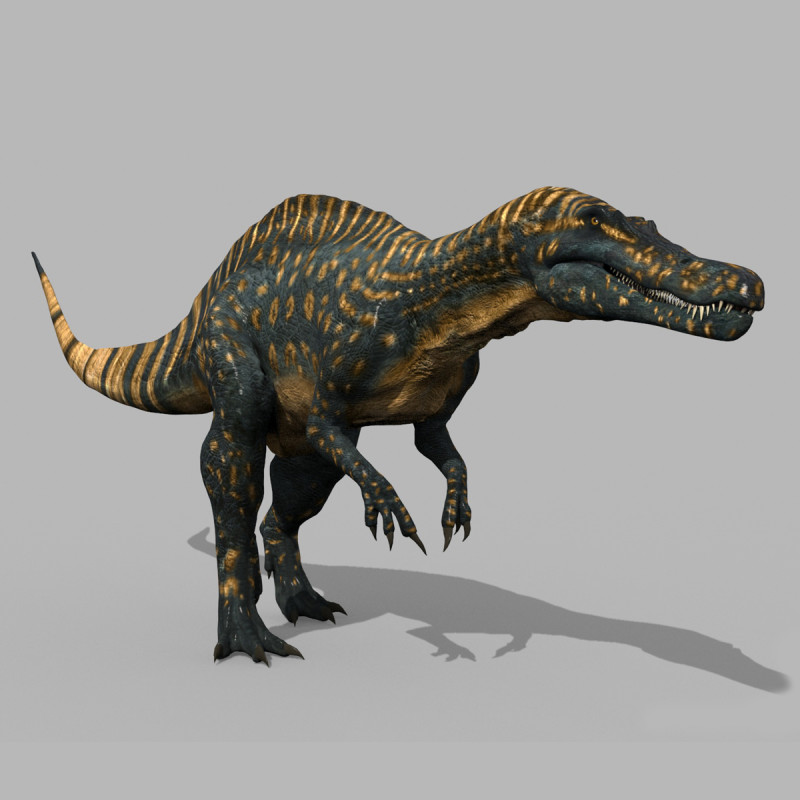 Real Animated Suchomimus - 8K 3D Model .c4d .max .obj .3ds .fbx .stl .blend 