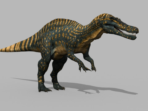 Real Animated Suchomimus - 8K 3D Model