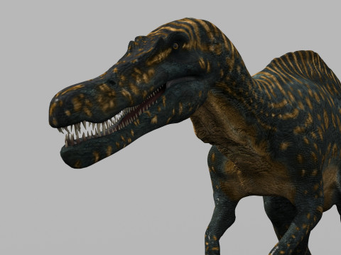 Real Animated Suchomimus - 8K 3D Model
