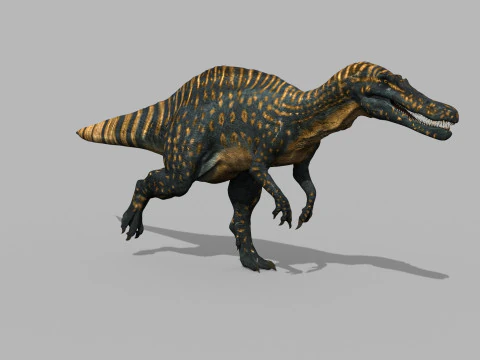 Real Animated Suchomimus - 8K 3D Model
