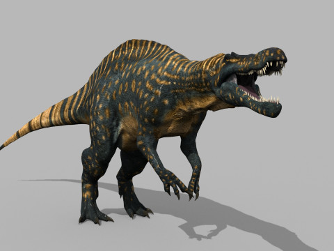 Real Animated Suchomimus - 8K 3D Model