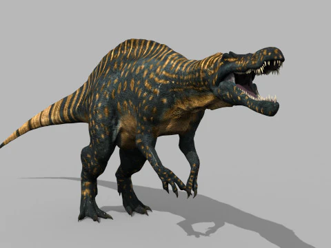 Real Animated Suchomimus - 8K 3D Model