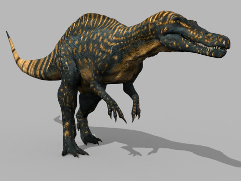 Real Animated Suchomimus - 8K 3D Model