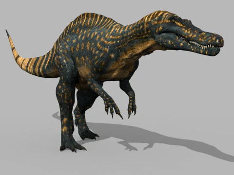 Real Animated Suchomimus - 8K 3D Model