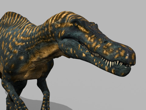 Real Animated Suchomimus - 8K 3D Model
