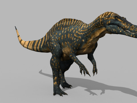 Real Animated Suchomimus - 8K 3D Model