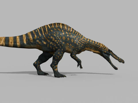 Real Animated Suchomimus - 8K 3D Model