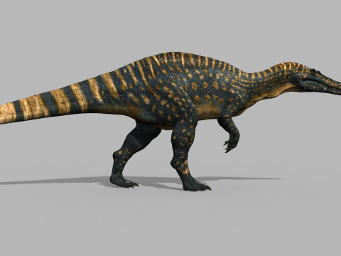 Real Animated Suchomimus - 8K 3D Model