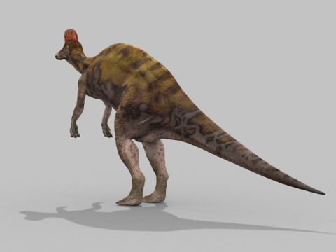 Real Animated Corythosaurus HD 3D Model