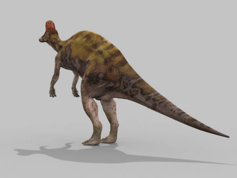 Real Animated Corythosaurus HD 3D Model
