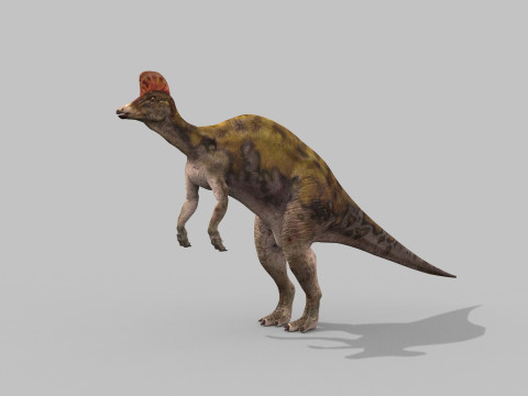 Real Animated Corythosaurus HD 3D Model