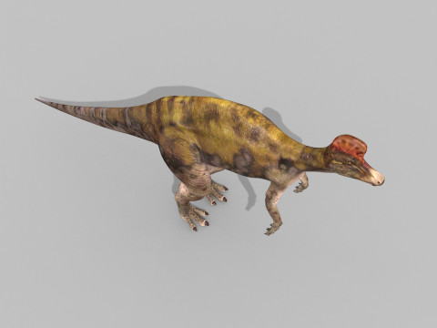 Real Animated Corythosaurus HD 3D Model
