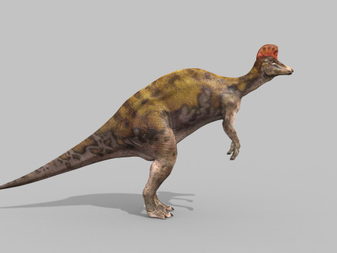 Real Animated Corythosaurus HD 3D Model