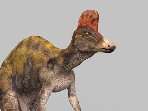 Real Animated Corythosaurus HD 3D Model