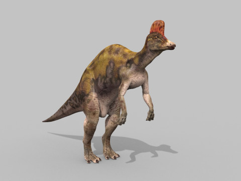 Real Animated Corythosaurus HD 3D Model