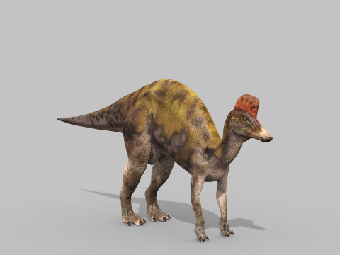 Real Animated Corythosaurus HD 3D Model