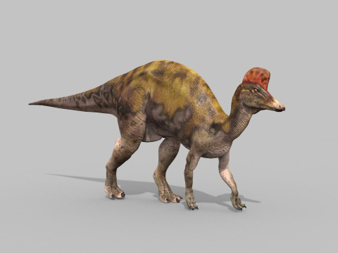 Real Animated Corythosaurus HD 3D Model