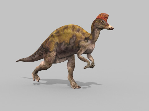 Real Animated Corythosaurus HD 3D Model