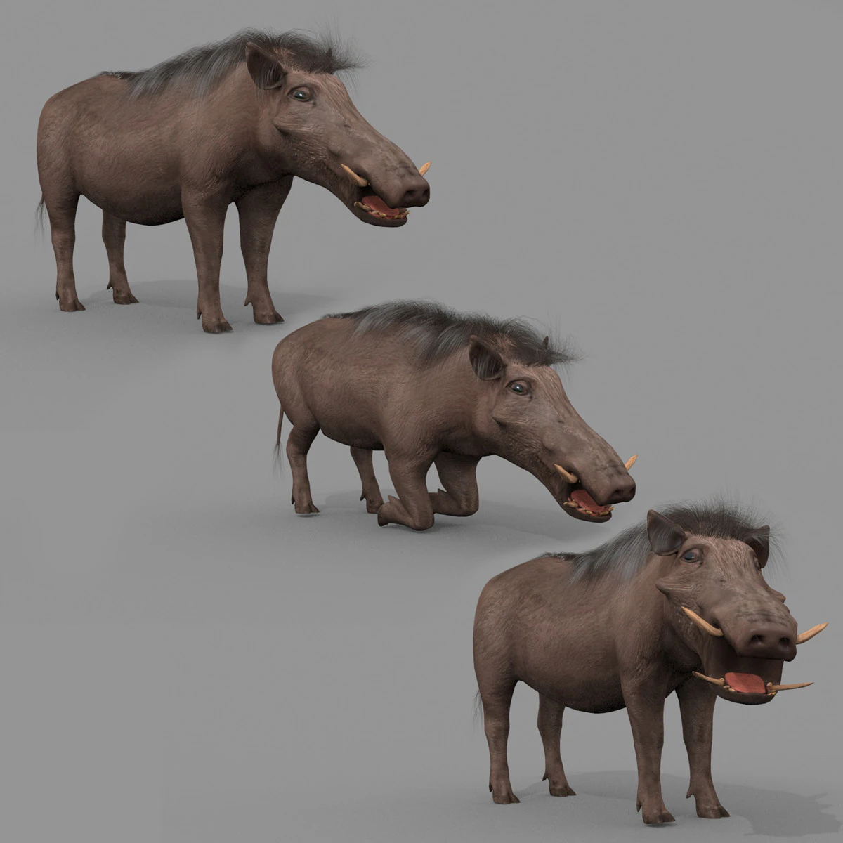 Warthog African pig - animated 3d fur model 3D Model .c4d .max .obj .3ds .fbx .stl .blend 