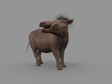 Warthog African pig - animated 3d fur model 3D Model