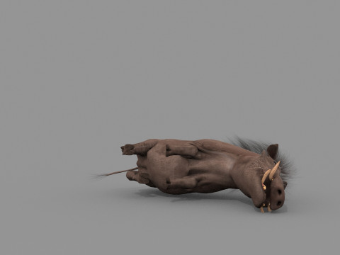 Warthog African pig - animated 3d fur model 3D मॉडल