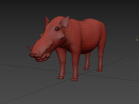 Warthog African pig - animated 3d fur model 3D मॉडल