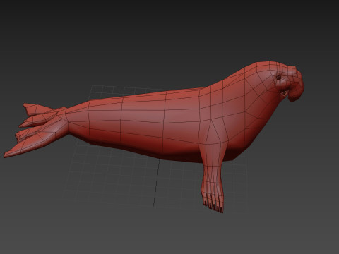 Sea Elephant Seal - 8K 3d animated 3D-Modell