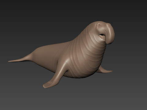 Sea Elephant Seal - 8K 3d animated 3D-Modell