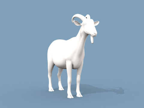 Goat Shape 3D Model